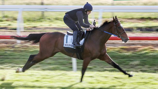 Wicklow Brave blowing off steam at Werribee. Picture: Colleen Petch.