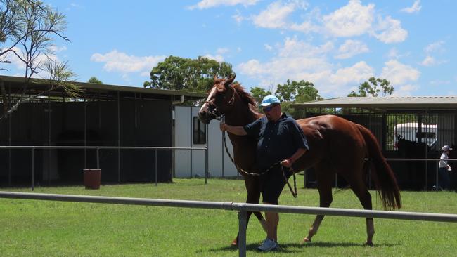 Nanango races on Saturday February 11.