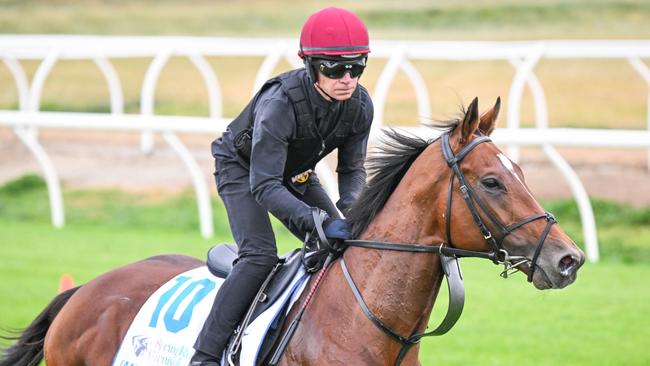 The Aidan O?Brien trained Jan Brueghel ridden by Dean Gallagher duringTrackwork at Werribee Racecourse on October 16, 2024 in Werribee, Australia. (Photo by Reg Ryan/Racing Photos via Getty Images)