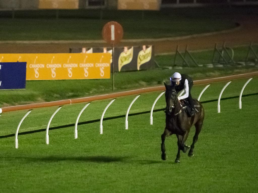 Winx doing dawn track work at Rose Hill. Picture: Dylan Robinson