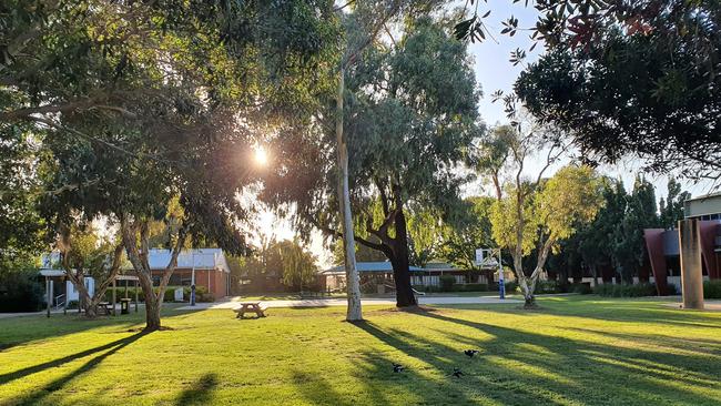 A teenage boy has been rushed to hospital after being bitten by a snake at Shepparton Christian College.