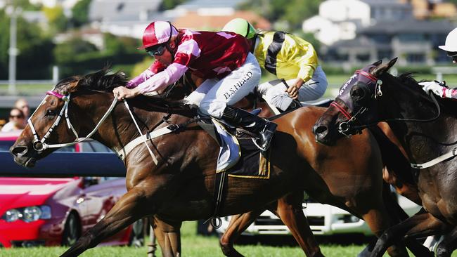 Barrenjoey is understood to have been hired to work on options for the NZ TAB, which is likely to result in a quasi sale of the operation. Picture: Sandra Mu/Getty Images