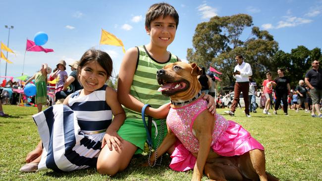 Blacktown Pet Festival 