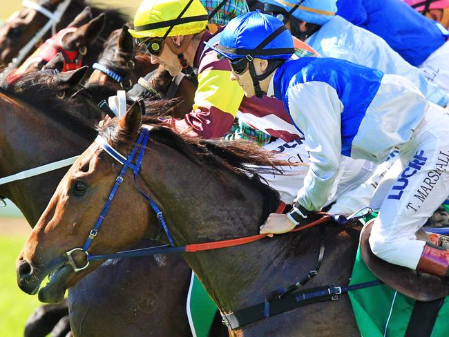 Racing returns to Lismore and Wagga on Friday. Picture: Jenny Evans
