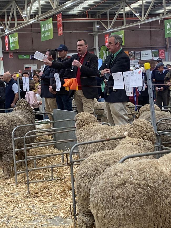 Selling action from the Australian Sheep and Wool Show Merino ram sale at Bendigo where rams sold to $24,000.