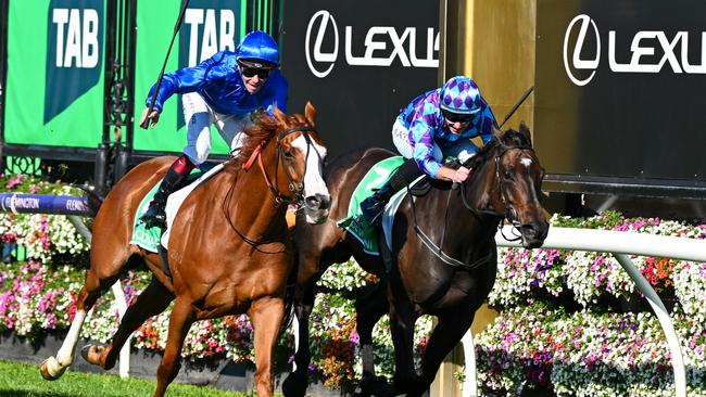 Pride of Jenni (inside) narrowly went down to Cascadian in the Australian Cup. Picture: Vince Caligiuri/Getty Images