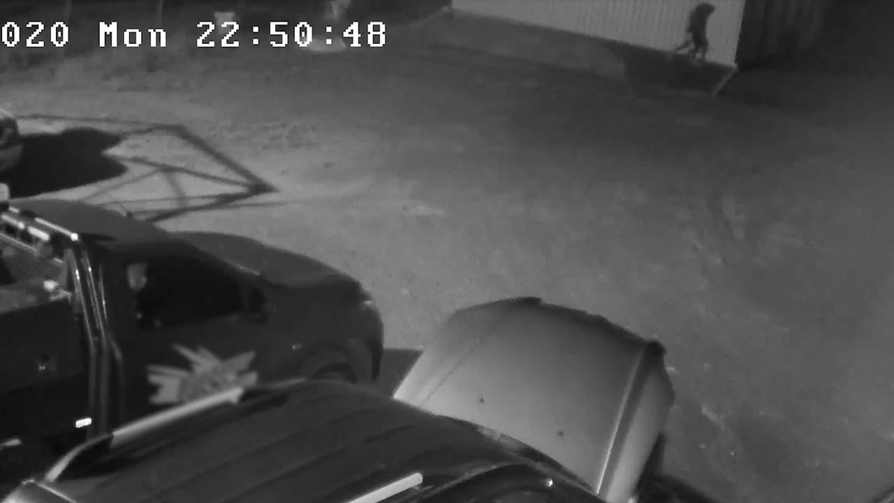 Rockhampton crime: Police release CCTV footage of alleged car arson ...