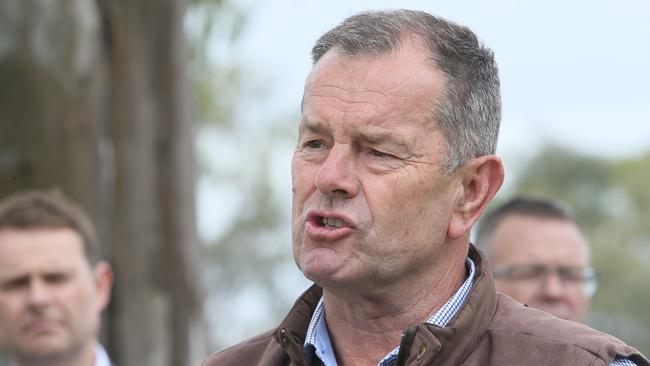 Local Riverland MP Tim Whetstone has thrown his support behind a ‘flood keeper’ initiative for businesses in Riverland. Picture: Emma Brasier