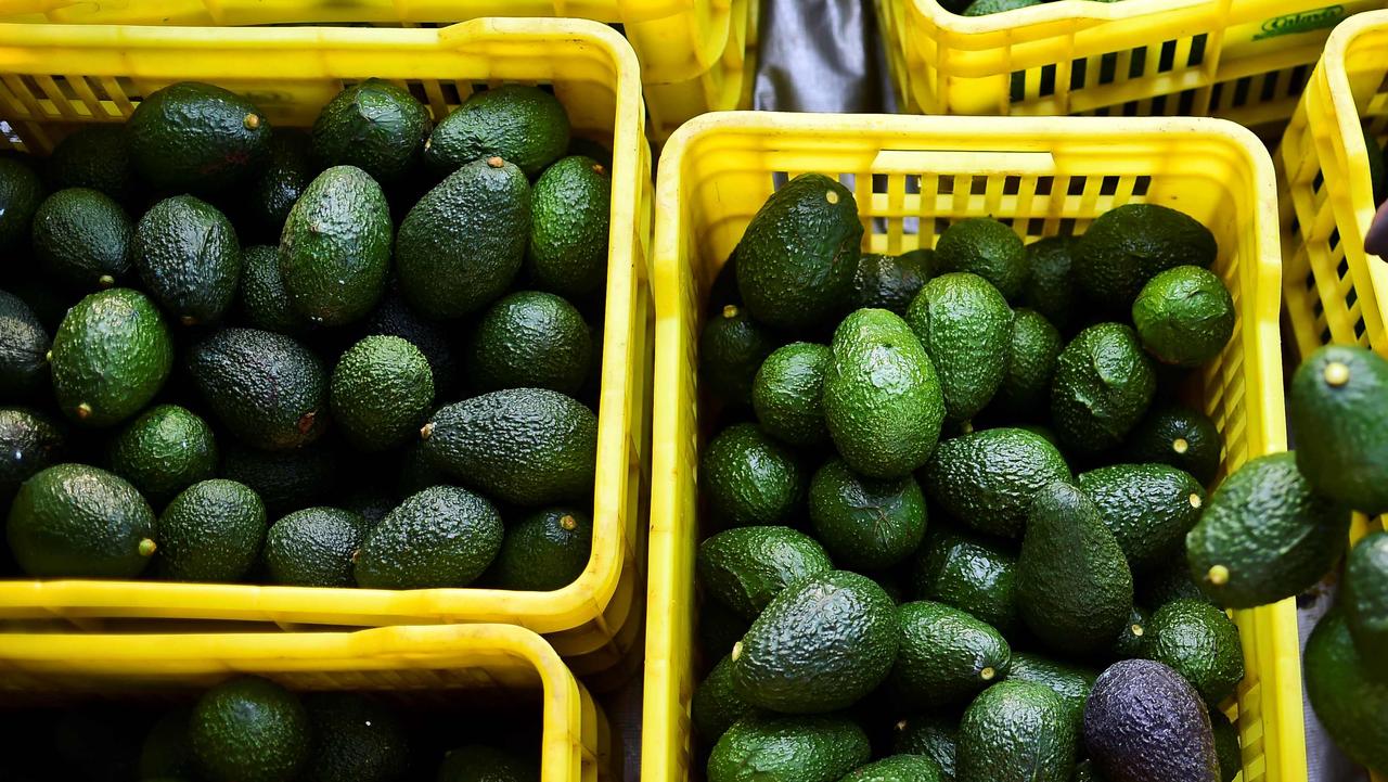 Costa Group buys farms, aims to top avocado market | The Australian