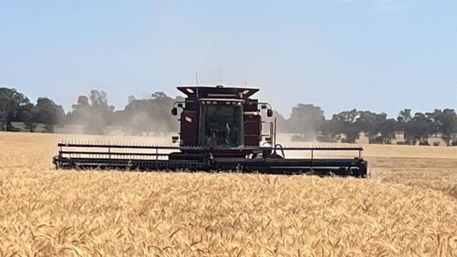 Harvesting wheat at the Lane's family property Redbank at Milbrulong in southern NSW. Picture: Nikki Reynolds