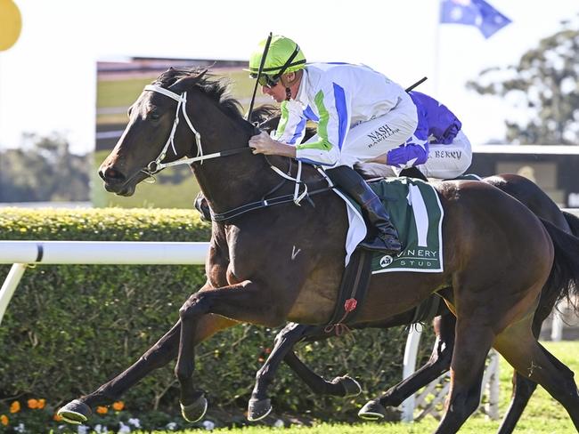 Vardy Thoroughbreds syndication horse Winning Proposal wins at Warwick Farm on June 26, 2024. Picture: Bradley Photos