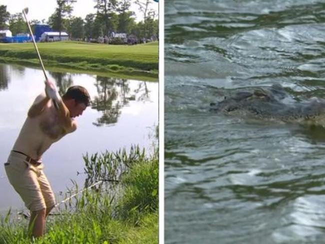 Phillips clears gator with NO SHIRT shot
