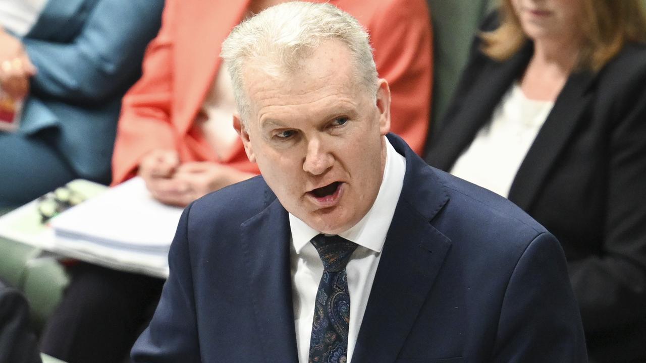 Immigration Minister Tony Burke rejected Owens’ visa. Picture: NewsWire/ Martin Ollman