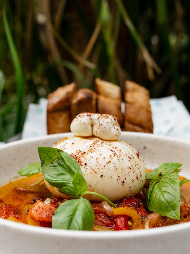 Burrata with braised capsicum and chilli honey at Part Time Lover, Adelaide. Picture: JACK FENBY