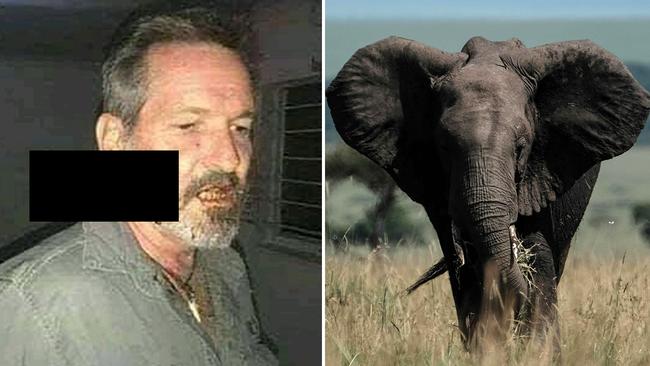 Ranger William Hofmeyr, who was shot in the face by a homemade arrow while protecting a herd of elephants from poachers.