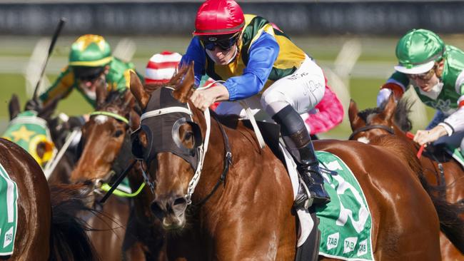 Dream Runner is the horse to beat in the Country Classic. Picture: Getty Images