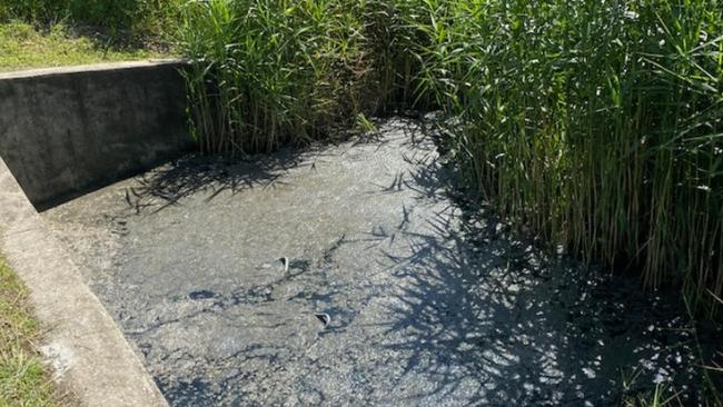 Sewer spill in the Albert River at the northern Gold Coast. This is water overflow in a drain.