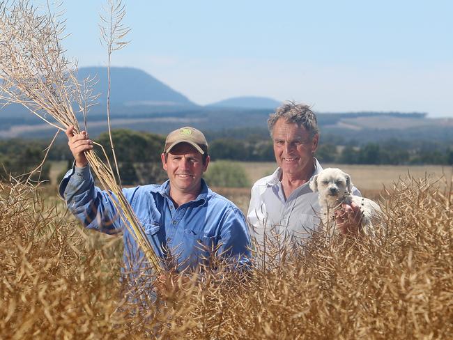 Rob Cameron & his father Andy, harvesting canola, Mount Mercer,  Picture Yuri Kouzmin