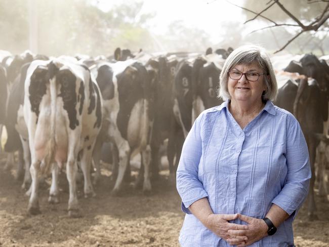 Ann Gardiner is a Dairy Farmers of Victoria committee member. Picture: Zoe Phillips