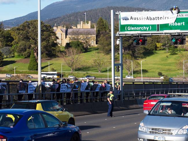 WARNING - Some people in these images may have been charged. Animal Liberation Tasmania protest against animal cruelty on the Tasman Bridge