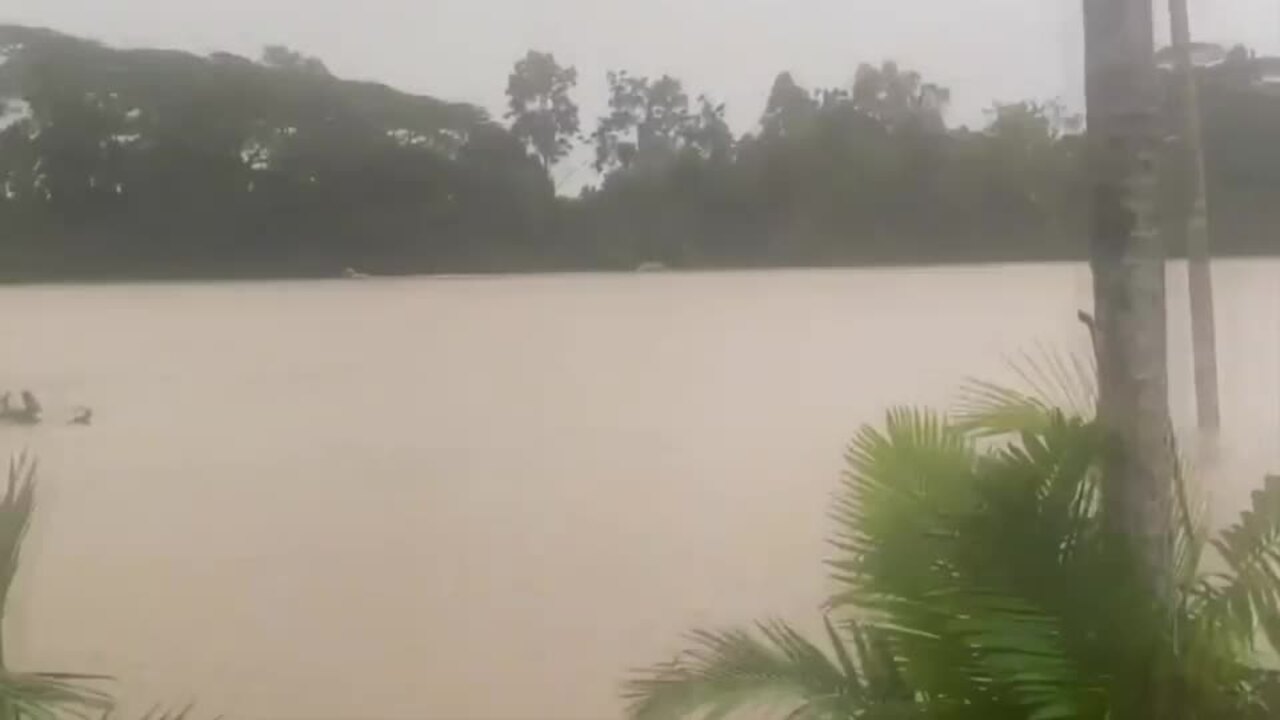 Herbert River flooding near Ingham in NQ