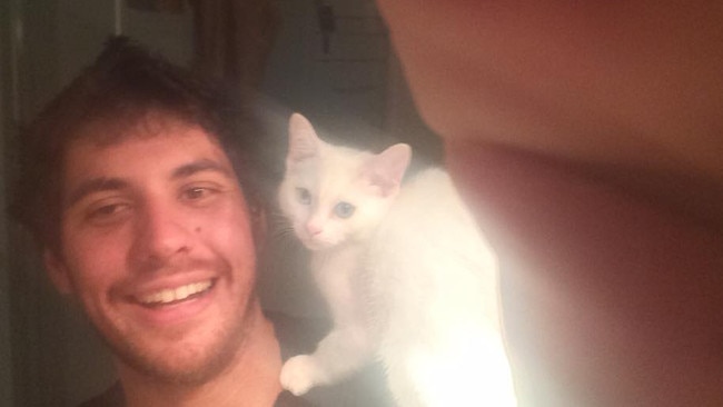 Anthony Cecchin pleads guilty to kitten fraud.