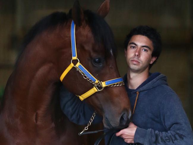 Rubick with Gerald Ryans foreman Sterling Alexiou at Ross McDonalds Caulfield stables this morning. Pic: Michael Klein