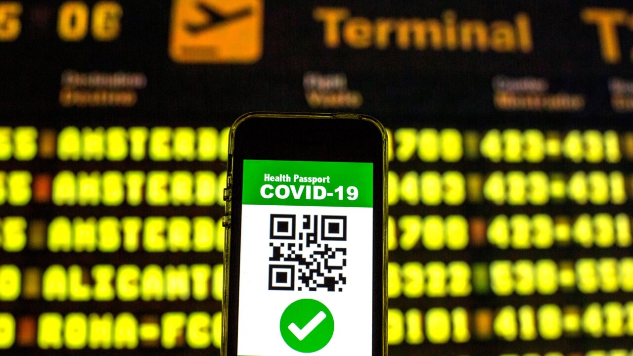 'Can't see another way' out of Covid pandemic early unless vaccination passport is created