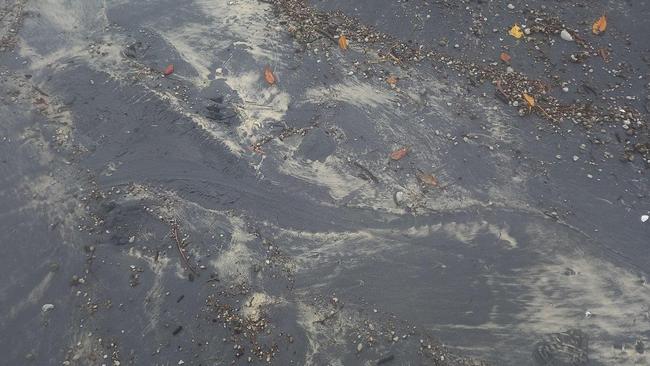 A crocodile spotted near a camping ground at Rainbow Beach, Inskip is believed to be the same animal that was spotted at Bundaberg last month.