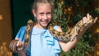 Are reptiles good pets: Expert says there’s more to them than meets the eye