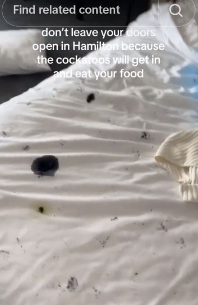 The beds were covered in poo. Photo: Elliemay16x