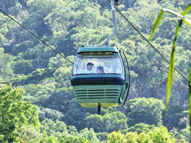 A Skyrail rainforest cableway gondola sails above the rainforest canopy on the Macalister Range National Park at Smithfield. Picture: Brendan Radke