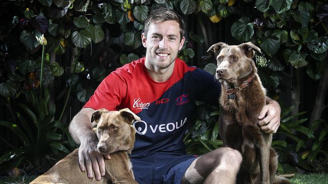 Former Adelaide Crow Richard Douglas has joined Norwood for next season. At home with his Kelpies, Chisel and Pippa. Picture: Sarah Reed