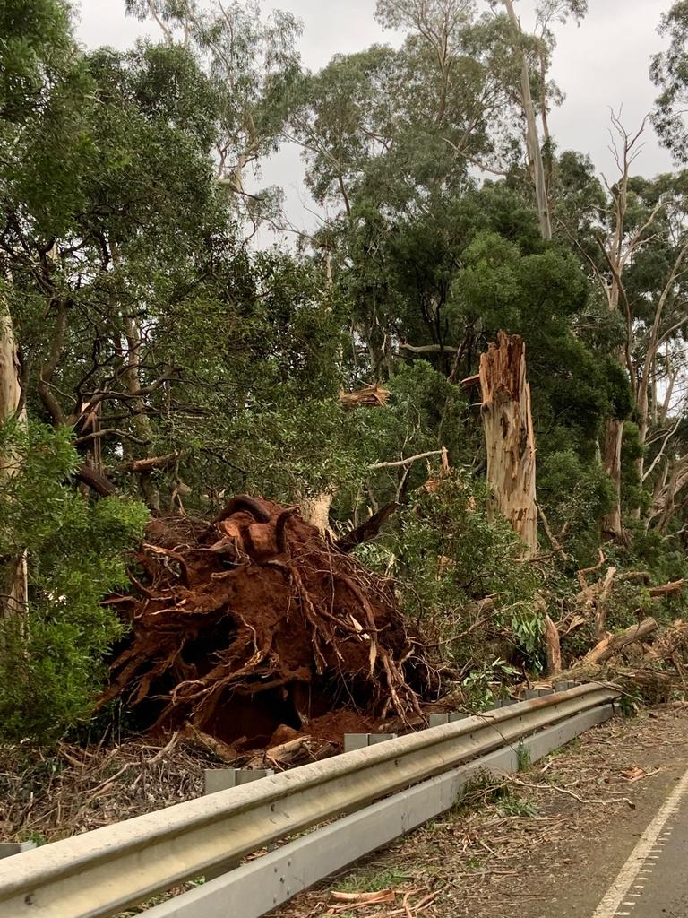 Trentham-Daylesford Rd, Lyonville. Picture: Merrilyn Hunt