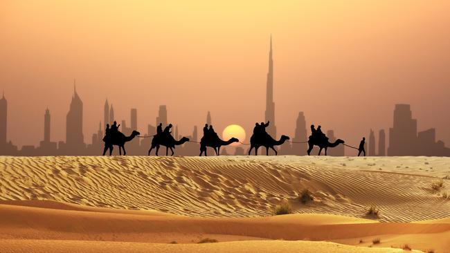 Camel tourists caravan walking on sunset desert near Dubai skyline.