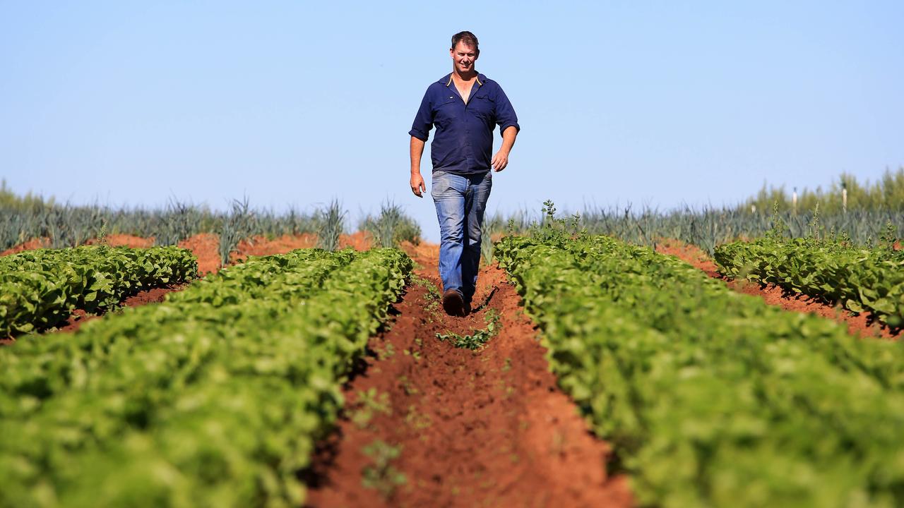 Wayne Shields on his organic farm in Barham, 310km north of Melbourne. Picture: Aaron Francis/The Australian