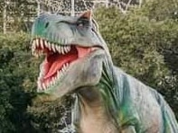 Families can interact with life-size animatronic dinosaurs and even come face-to-face with the legendaryÂ Tyrannosaurus rex in a Mackay first.Â Picture: The Dino Expo