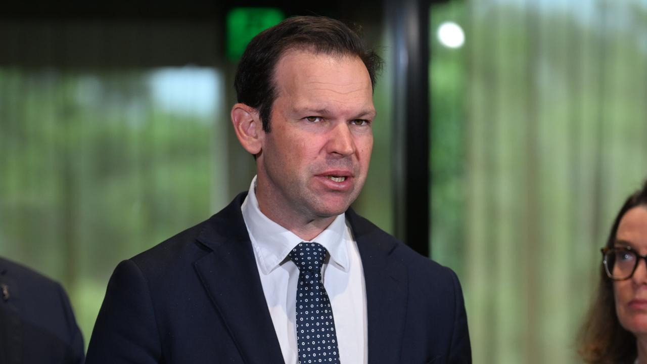 Nationals Senator Matt Canavan chaired the Senate inquiry into red imported fire ants. Picture: Dan Peled / NCA NewsWire