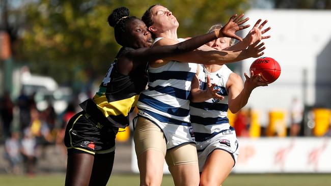 Akec Makur Chout, of the Tigers, and Meghan McDonald, of the Cats, compete for the ball. Picture: Getty