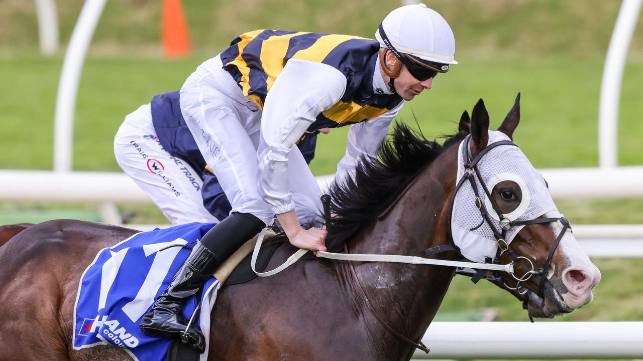 The Mick Price and Michael Kent Jr-trained Golden Eagle winner I'm Thunderstruck will chase another big payday in the $5m All-Star Mile at Flemington. Picture: Racing Photos via Getty Images.