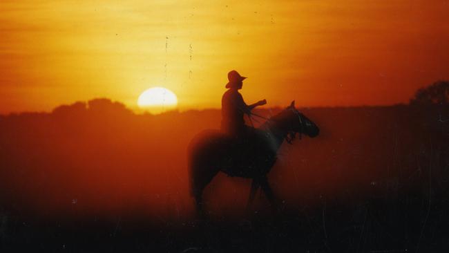 Heads up: Cattle muster time on Anna Creek Station in South Australia, owned by S. Kidman & Co.