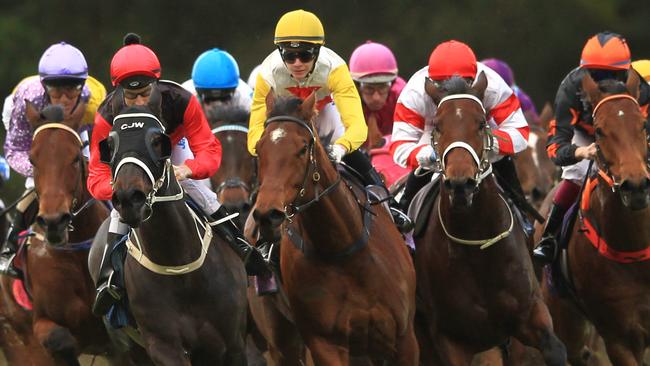 Racing in New South Wales on Wednesday is at Gosford.