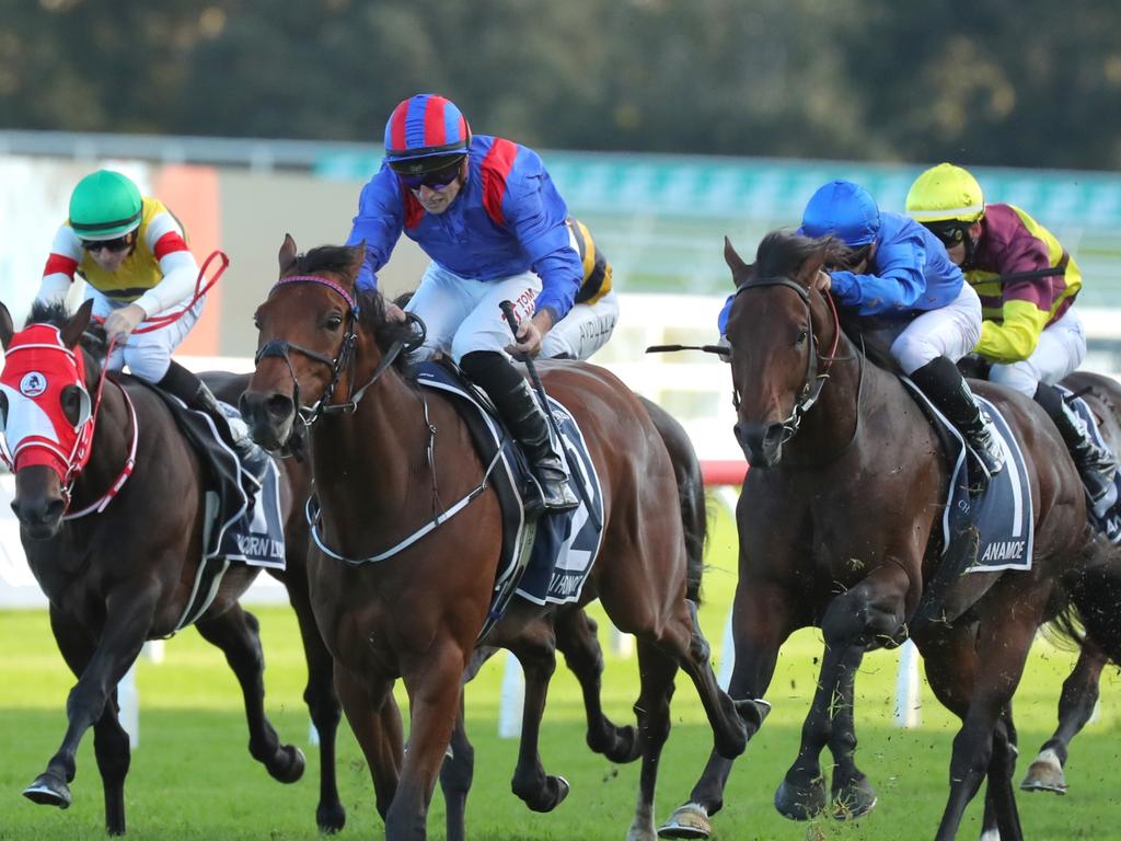 Western Australia Racing | Horse Racing News, Guides & Results | news ...