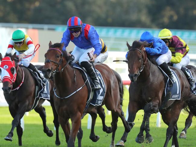 SYDNEY, AUSTRALIA - APRIL 08: Tom Marquand riding Dubai Honour wins  Race 8 Longines Queen Elizabeth Stakes during The Star Championship Day 2: Longines Queen Elizabeth Stakes Day - Sydney Racing at Royal Randwick Racecourse on April 08, 2023 in Sydney, Australia. (Photo by Jeremy Ng/Getty Images)