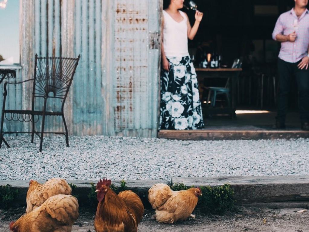 Heifer Station is surrounded by rolling hills and a few resident farm animals.