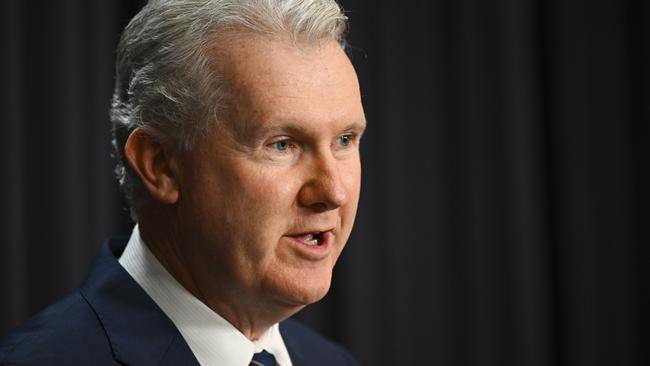 Australian Employment Minister Tony Burke. Picture: Lukas Coch