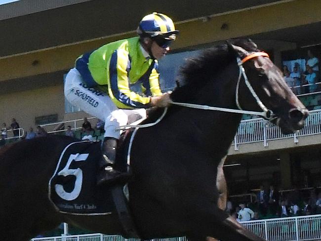 Race 7 - 4:20PM SUMMER SPRINT (1000 METRES). Winner 'Dal Cielo' ridden by Glynn Schofield.