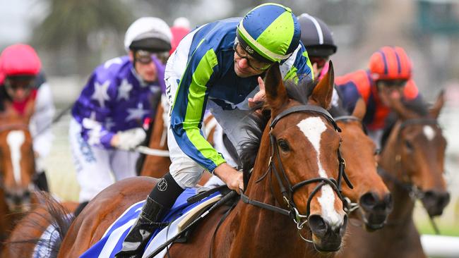 Bam’s On Fire is undefeated at Caulfield. Picture: Getty Images