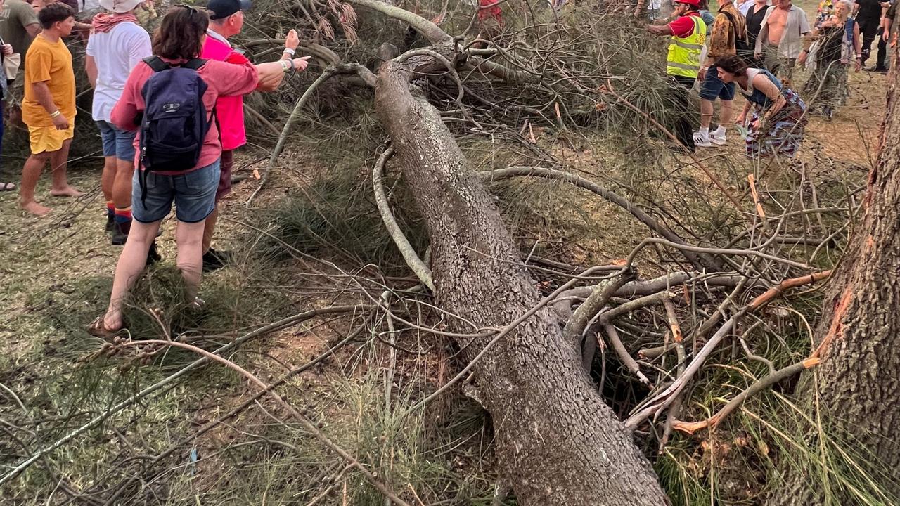 Man injured after tree branch falls at WOMAD