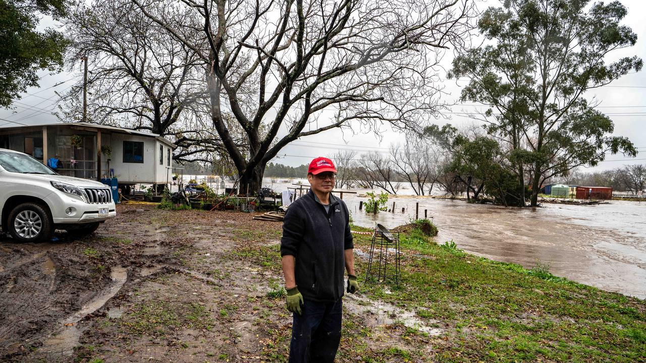 Elmer Sager has saved some of his plants, but his business will be devastated again. Picture: NCA NewsWire / Flavio Brancaleone